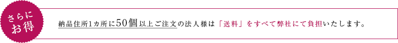 さらにお得 送料無料
