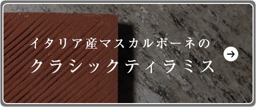 イタリア産マスカルポーネのクラシックティラミス